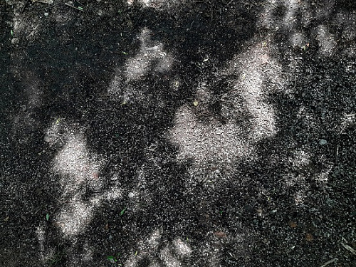 Klicke auf die Grafik für eine vergrößerte Ansicht

Name: karte1-licht-S.jpg
Ansichten: 213
Größe: 144,2 KB
ID: 100